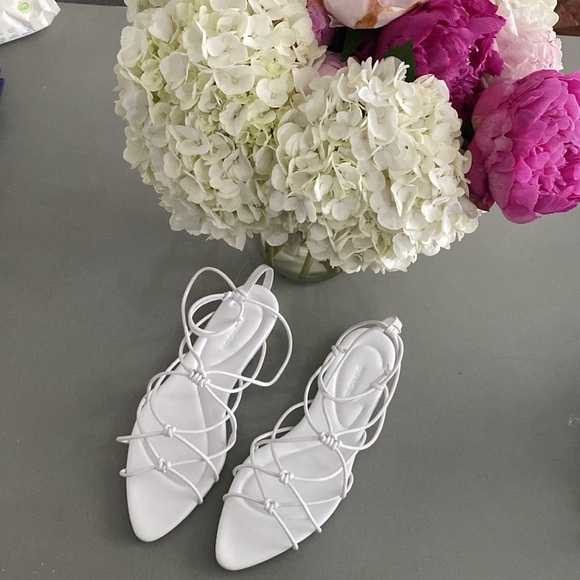 Vince Sandles - Picture 4 of 8